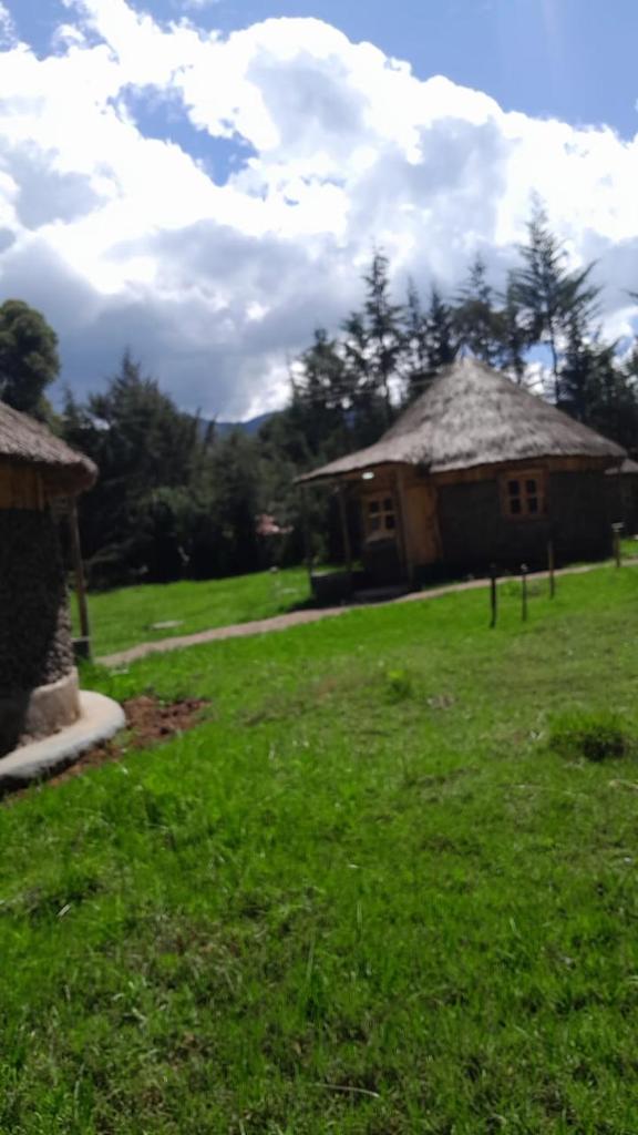 Cozy Huts photo 1