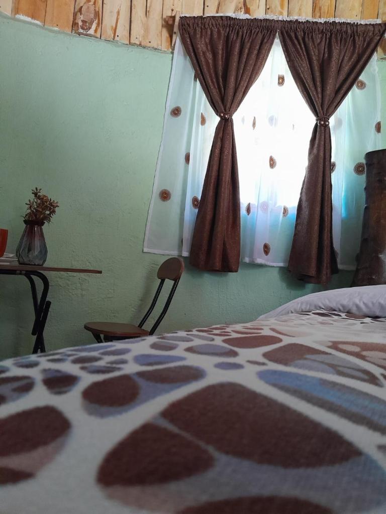 Cozy Huts photo 2