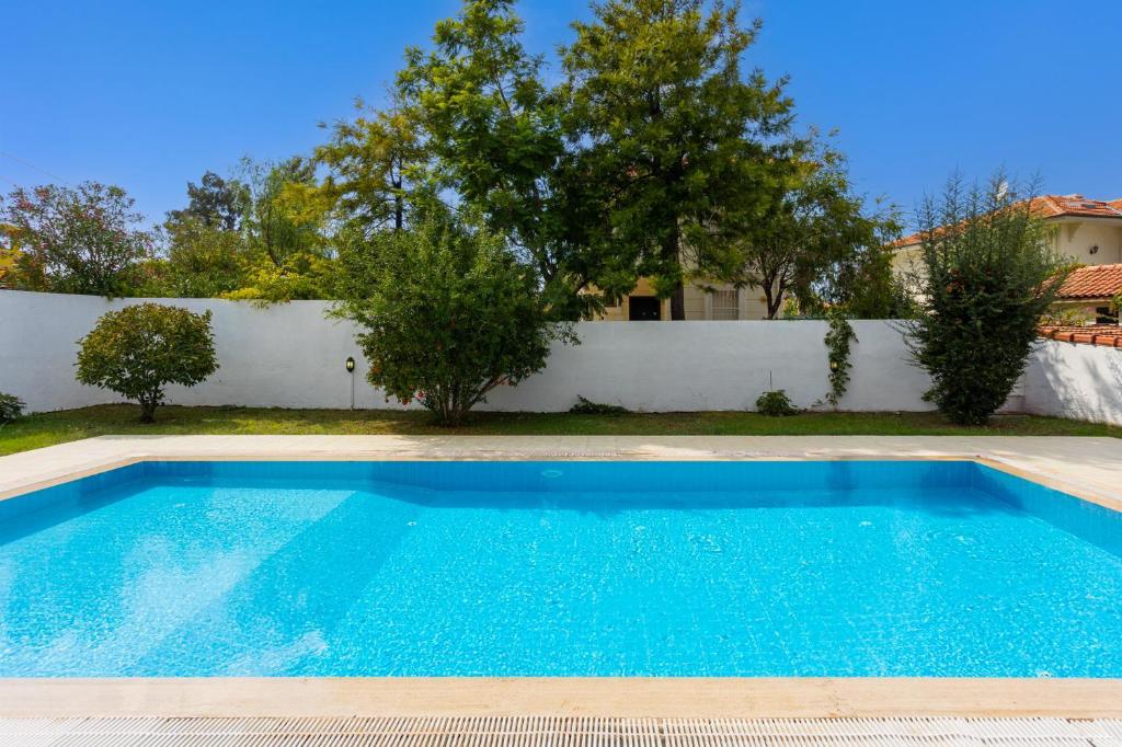 Villa Oliv photo 3