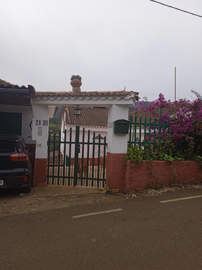 Mar de flores photo 4