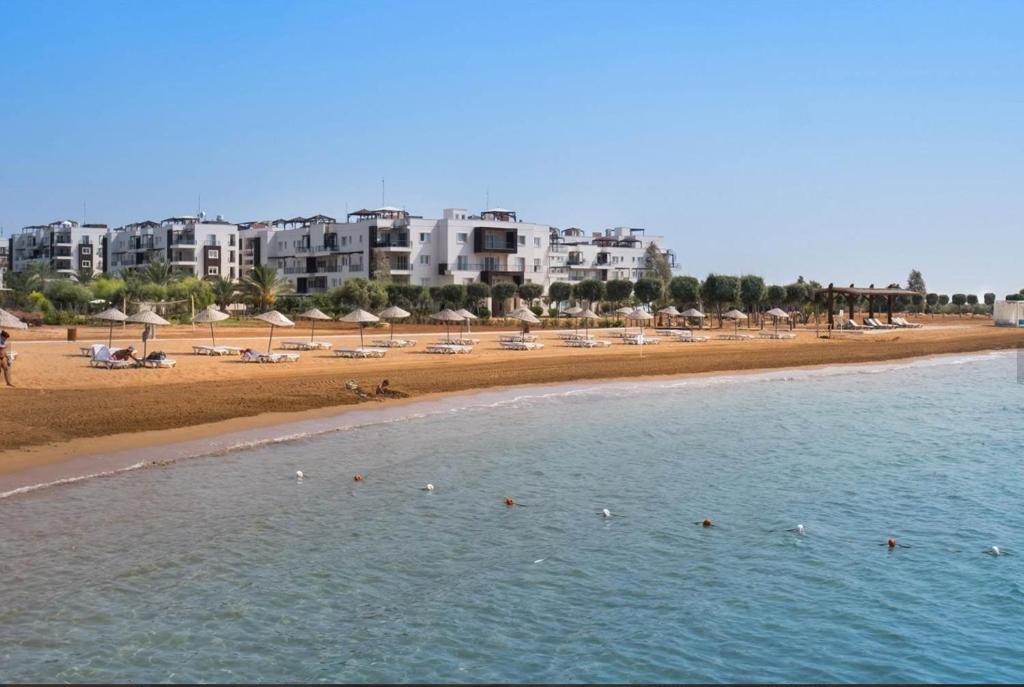 Thalassa Beach Resort&Spa Retreat photo 2