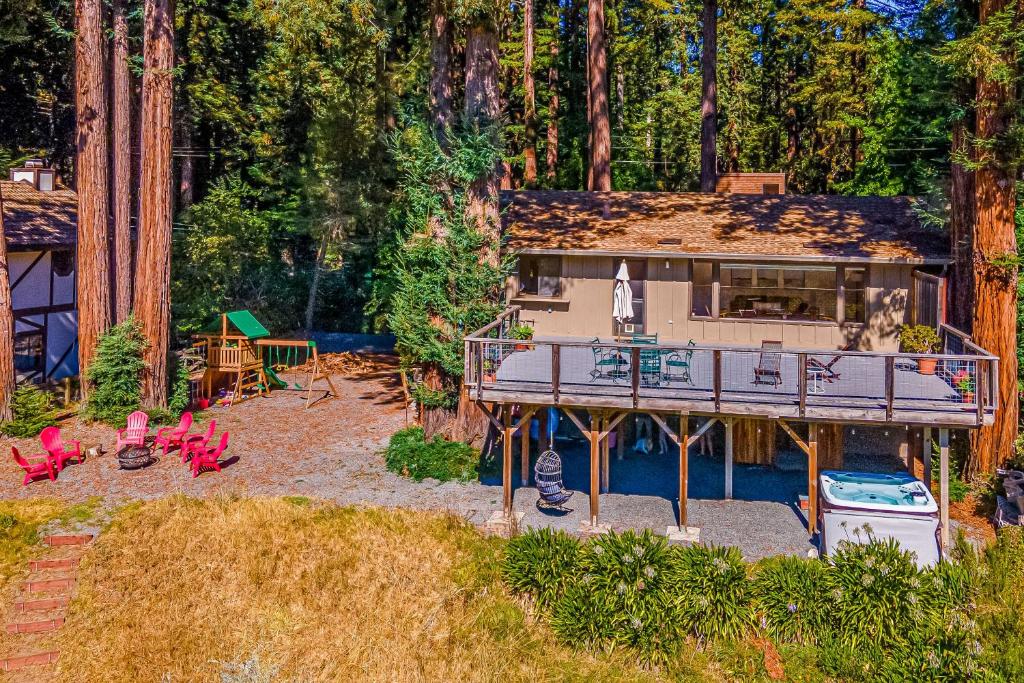 The Redwood Sanctuary