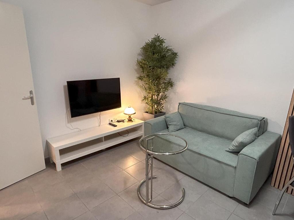 Appartement T2 proche d'Airbus et centre ville de Toulouse photo 1