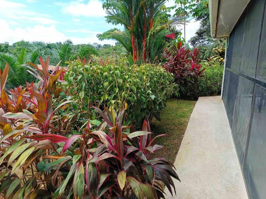Tropical Oasis in Ojochal photo 3