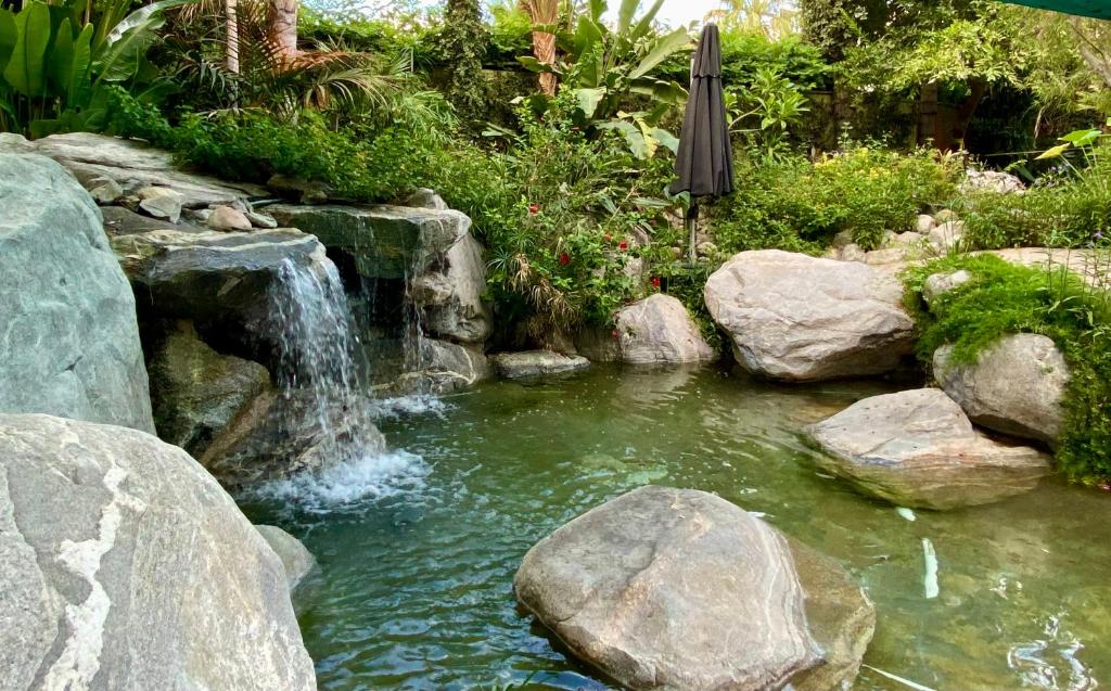 Vista Grande Resort - A Gay Men's Resort photo 2