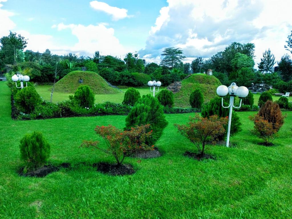 INFINITE GREEN EVENTS GARDEN NAKURU photo 1