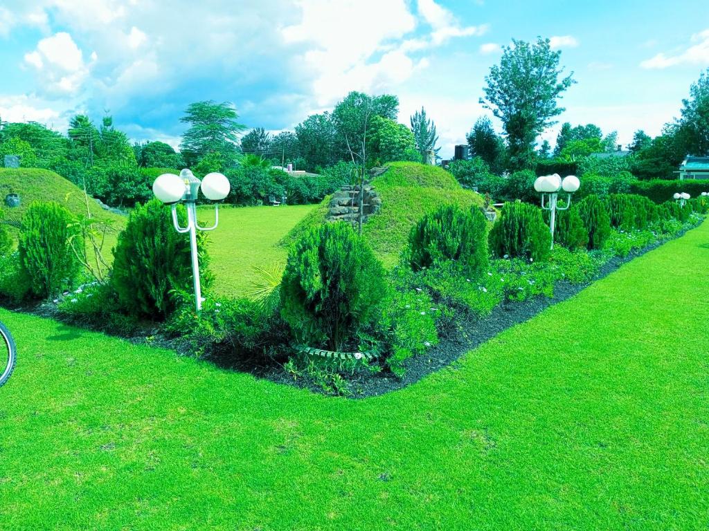 INFINITE GREEN EVENTS GARDEN NAKURU photo 4