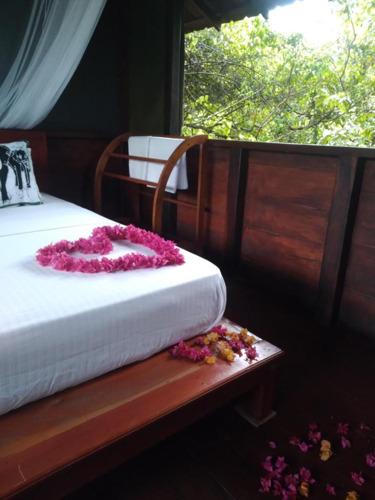 Dambulla Tree House photo 4