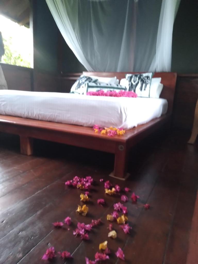 Dambulla Tree House photo 3