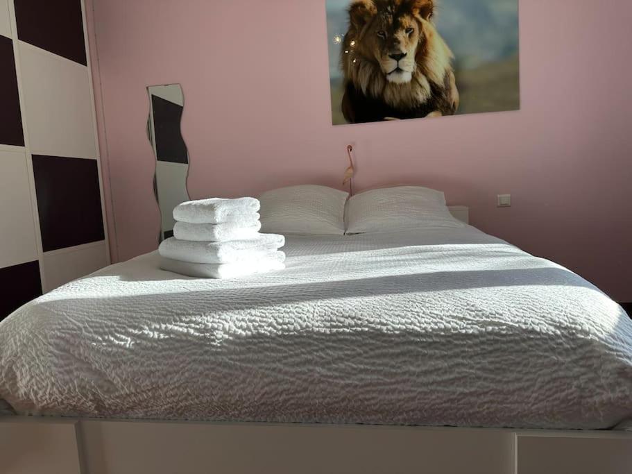 La maison de pierres onches photo 1