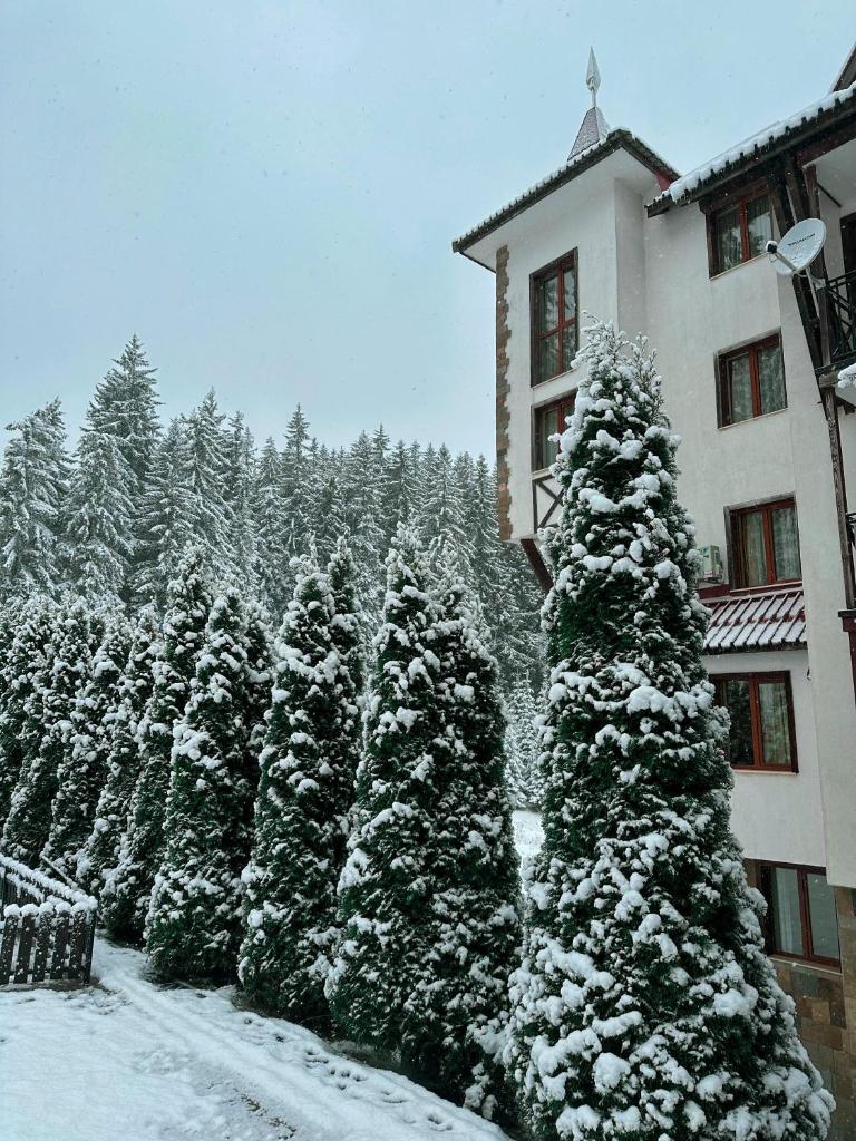 Castle Romance - Pamporovo photo 2
