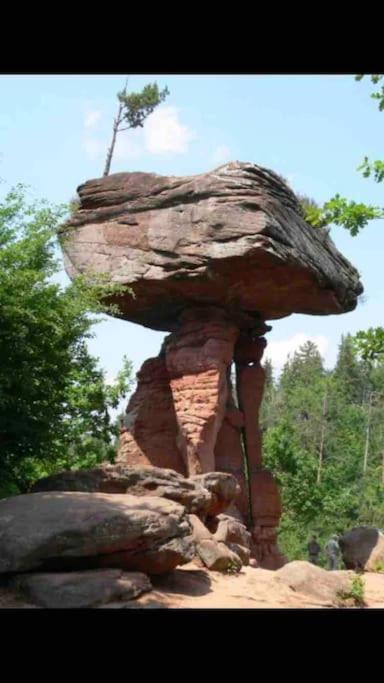 Wohnen im Wanderparadies photo 4