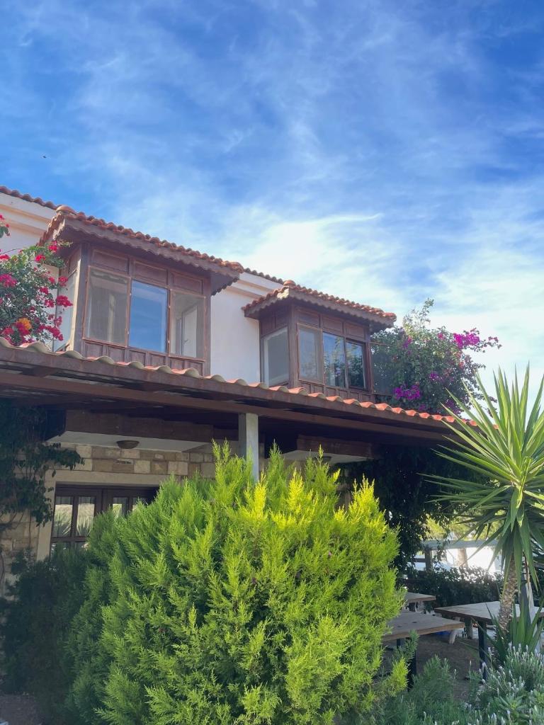 Espira by Antioch Hotel photo 3
