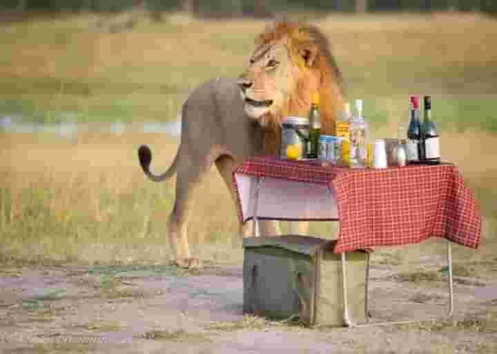 mara duwa safari camp photo 1