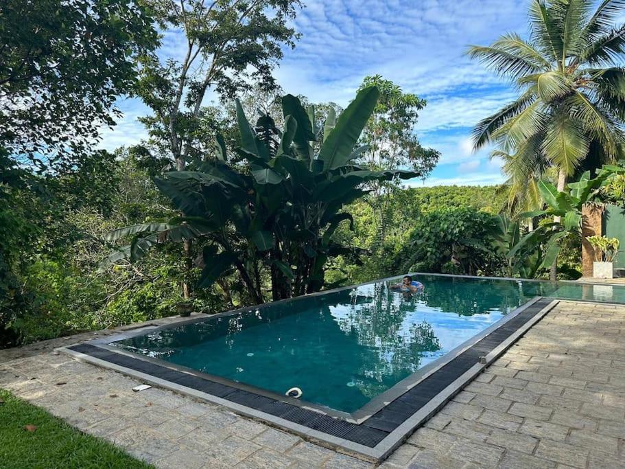 Peaceful villa in the jungle photo 2