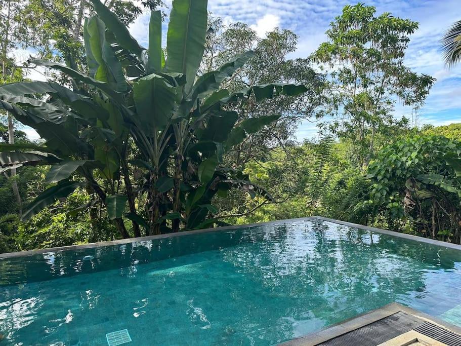 Peaceful villa in the jungle photo 3