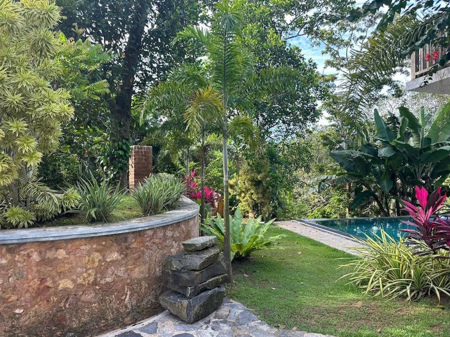 Peaceful villa in the jungle photo 4