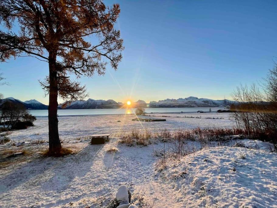 Nordland House-Breathtaking View-Central Location photo 1