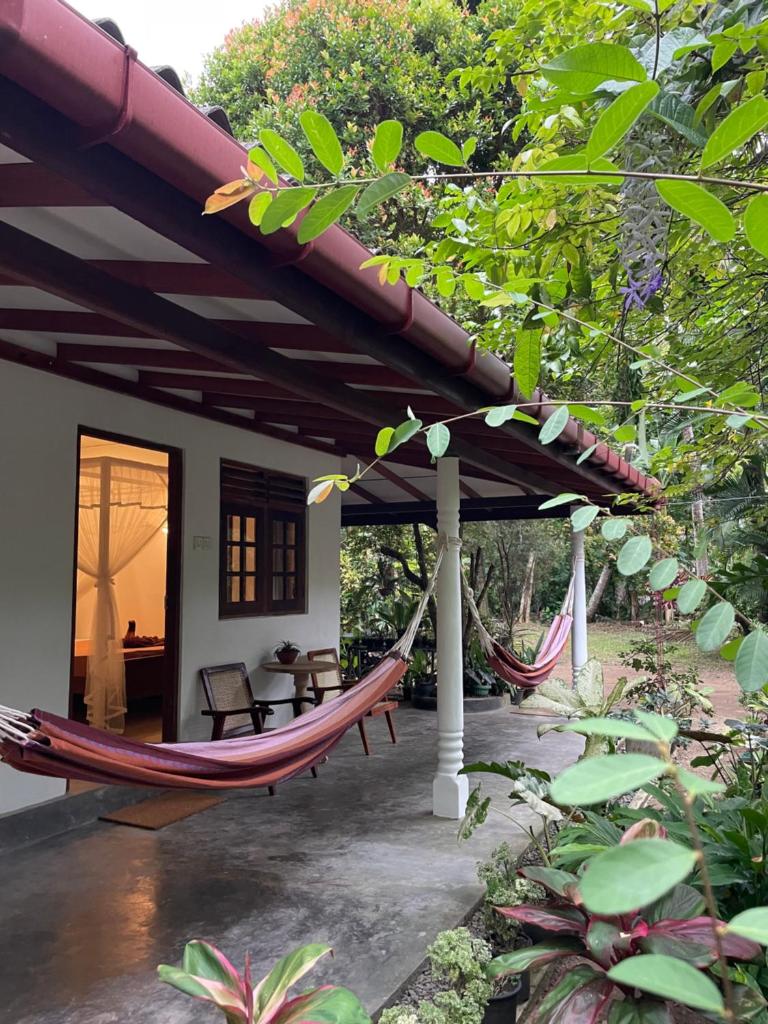 Surfside Madiha photo 1