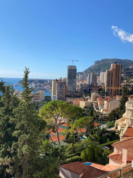 Monaco One bedroom apartment with Panoramic sea view photo 1