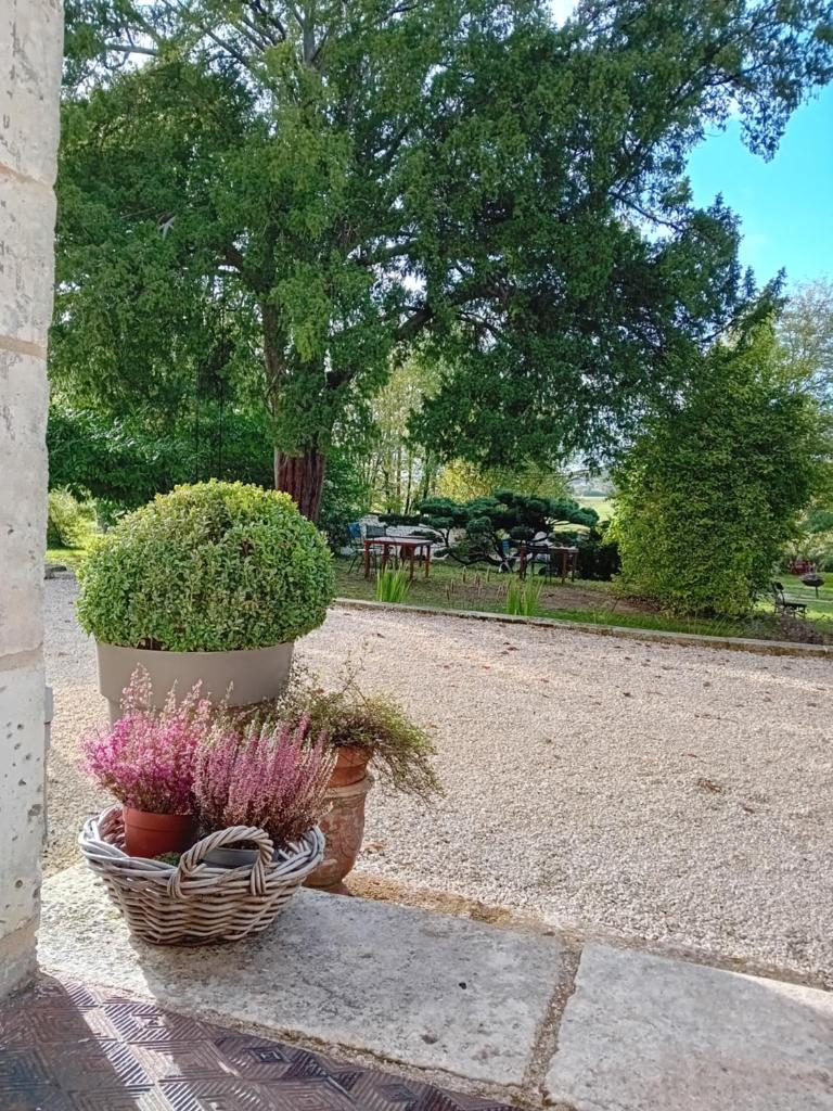 Maison blanche photo 1