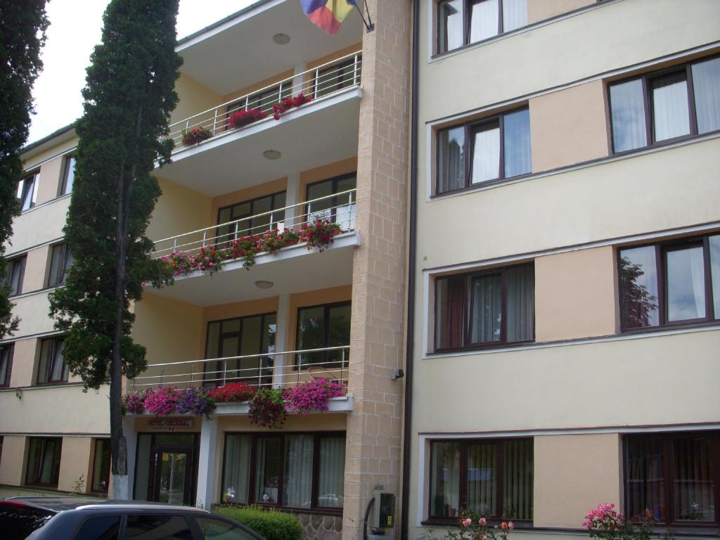 Hotel Decebal photo 1