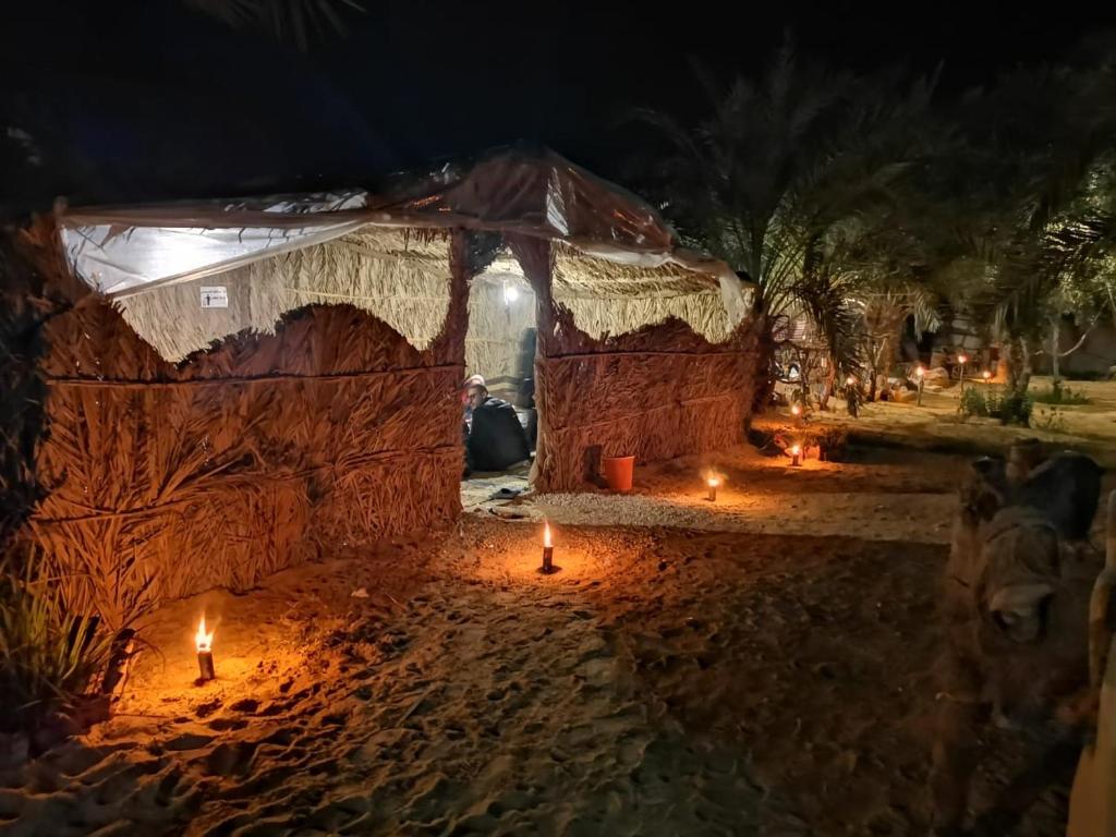 Desert Escape siwa -with palm & olive Garden - Hot Spring photo 4