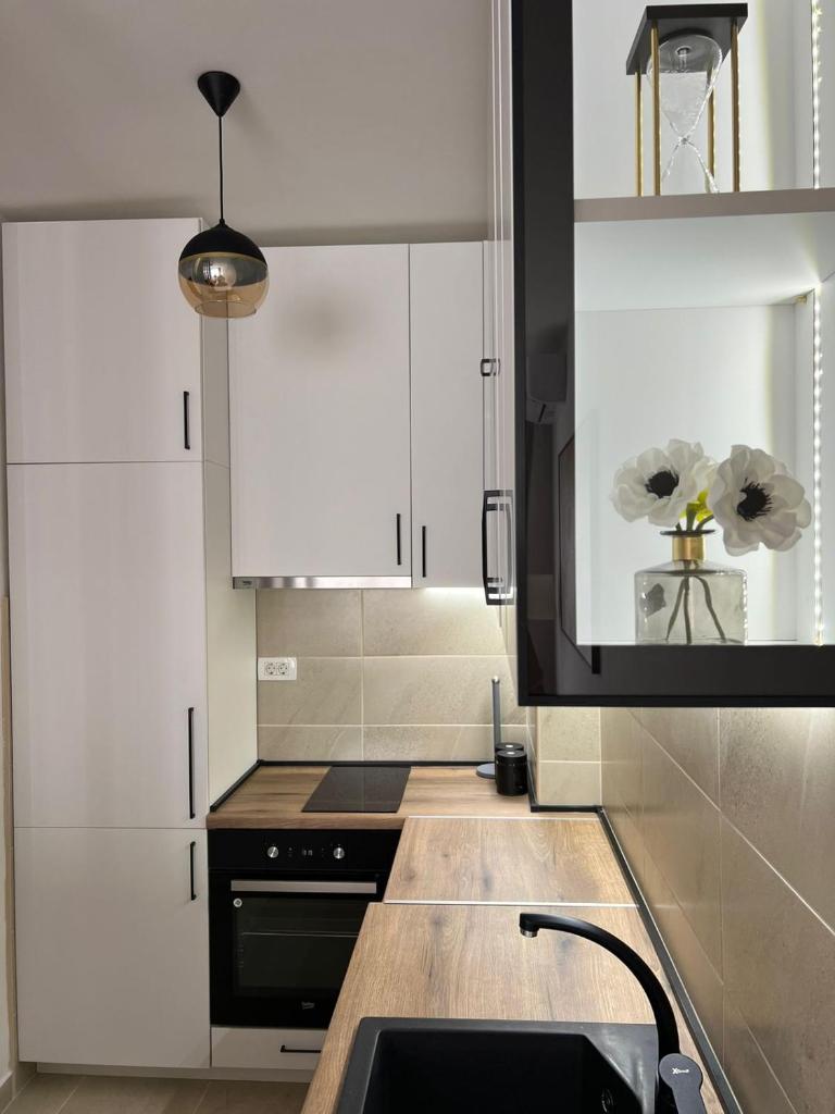 Center Lux Apartment photo 4