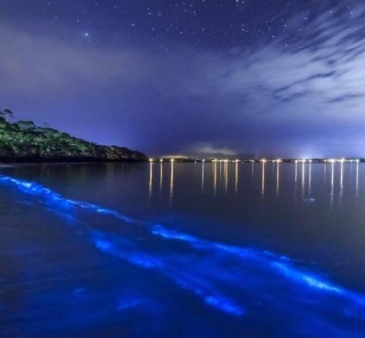 Casa Paraíso azul photo 1