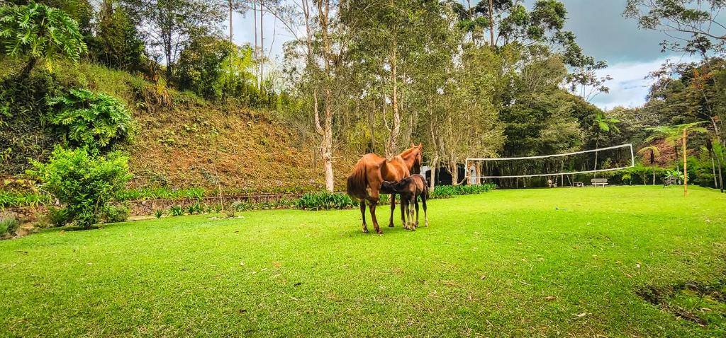 Finca La Hacienda photo 4