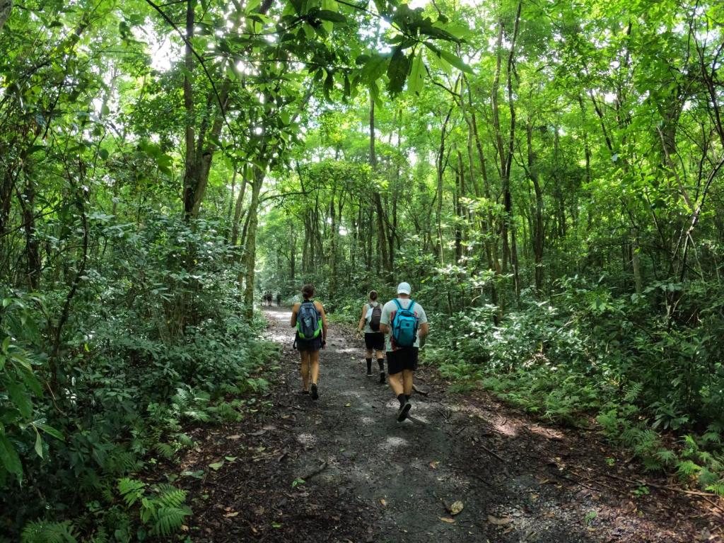 Aroma Cat Ba Sea View Hotel