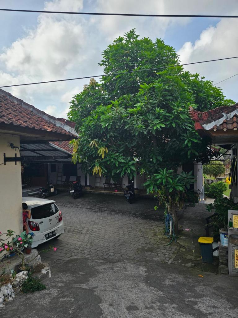 Padang-Padang Sari Homestay photo 2