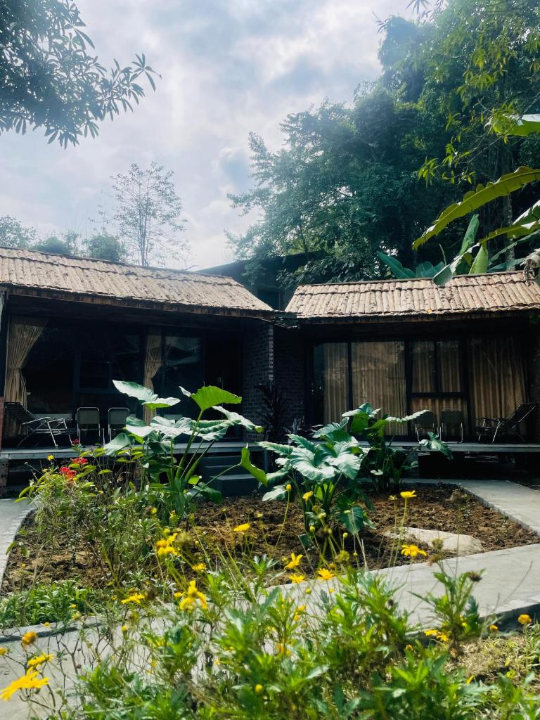 Anh Duc Homestay