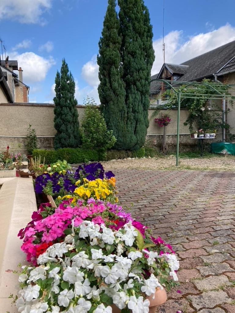 Villa Capucine photo 1