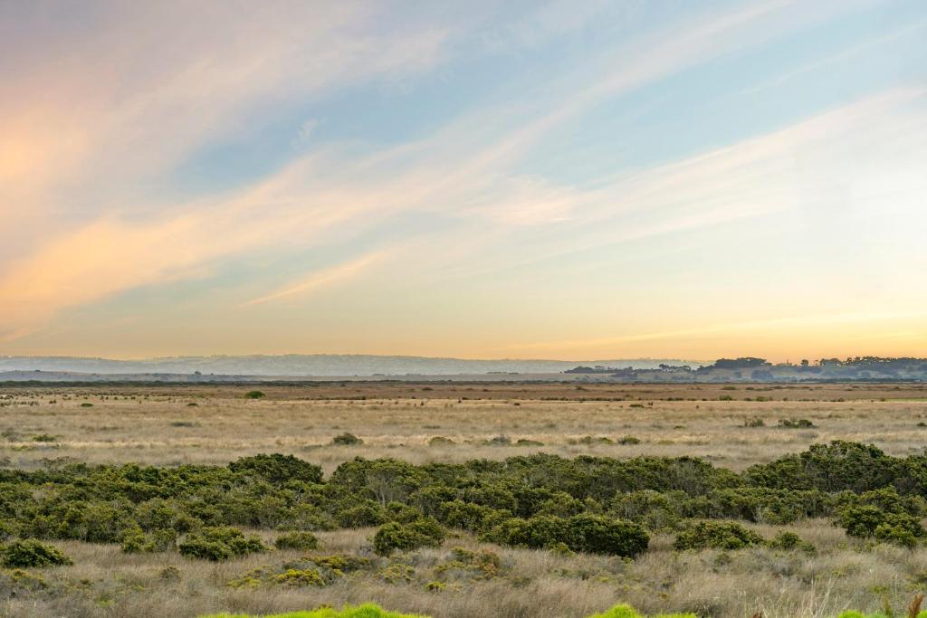 Nature's Edge Hideaway photo 4