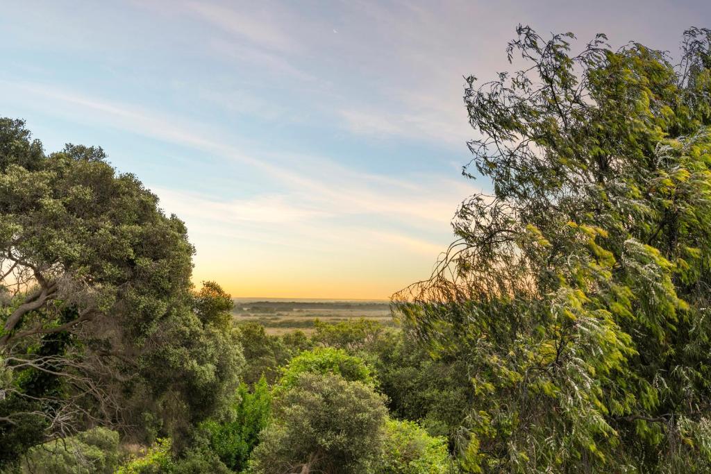 Nature's Edge Hideaway photo 1