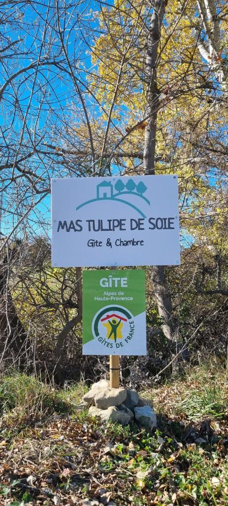 Mas Tulipe de Soie photo 4