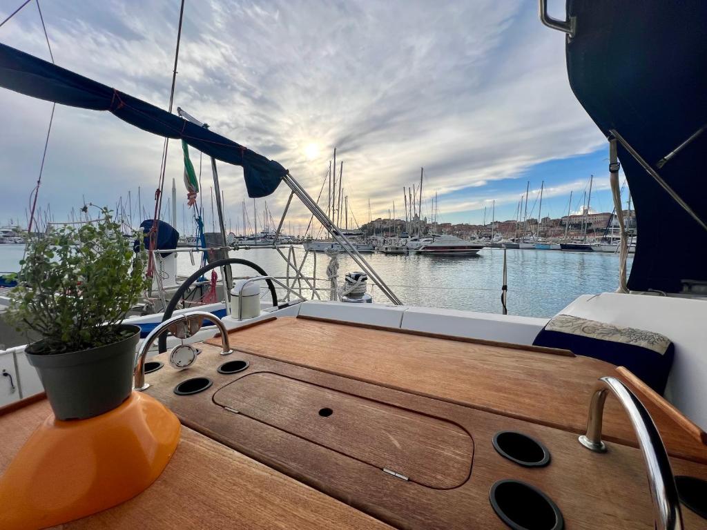 Sailboat Euplea