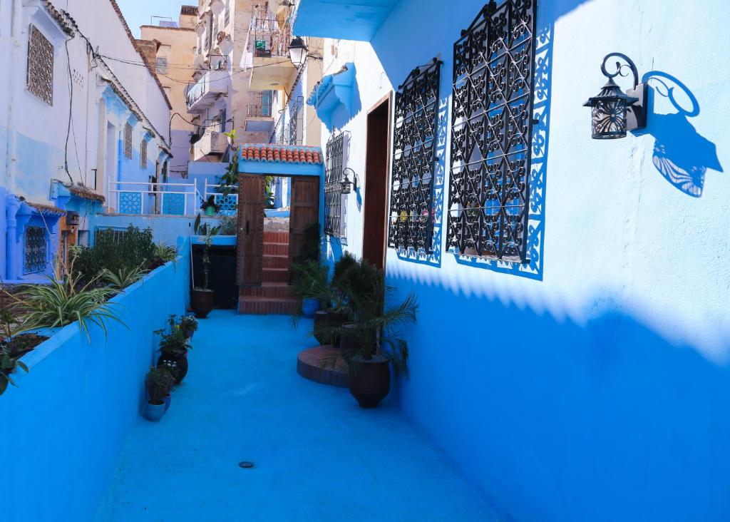 CASA BLUE PEARL photo 4