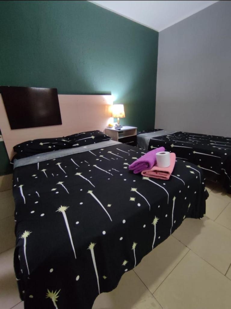 HOSTAL DEL SOL photo 4