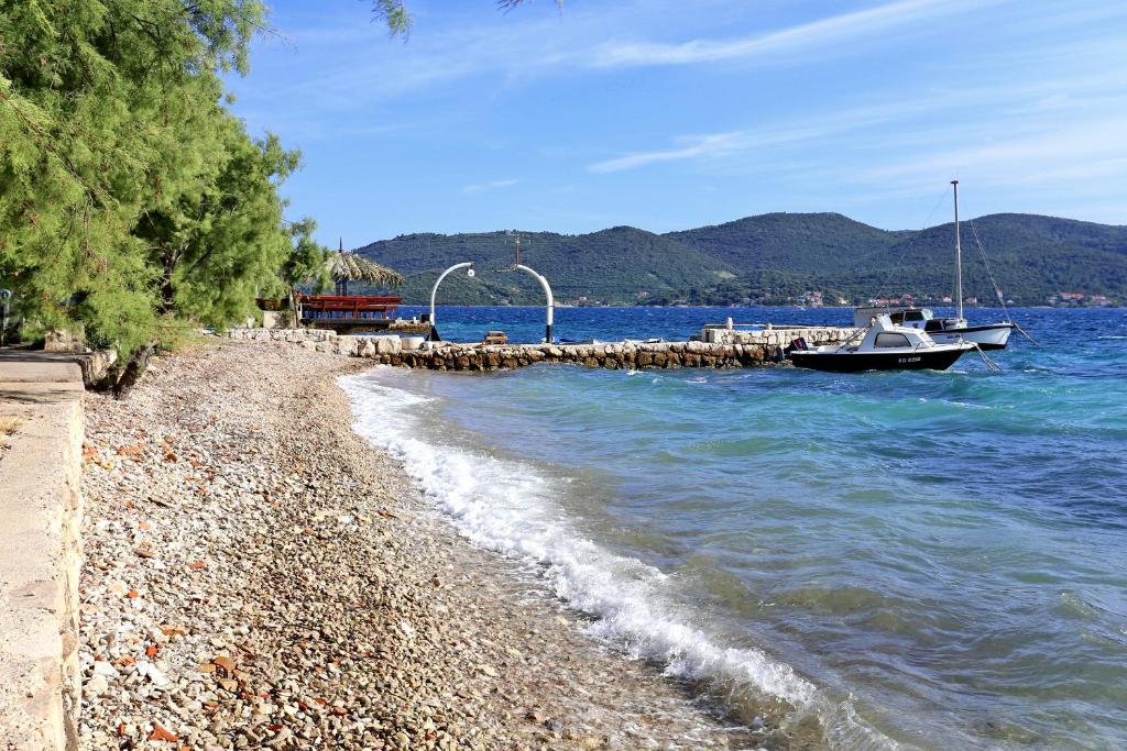Apartments with a parking space Viganj, Peljesac - 21912 photo 4