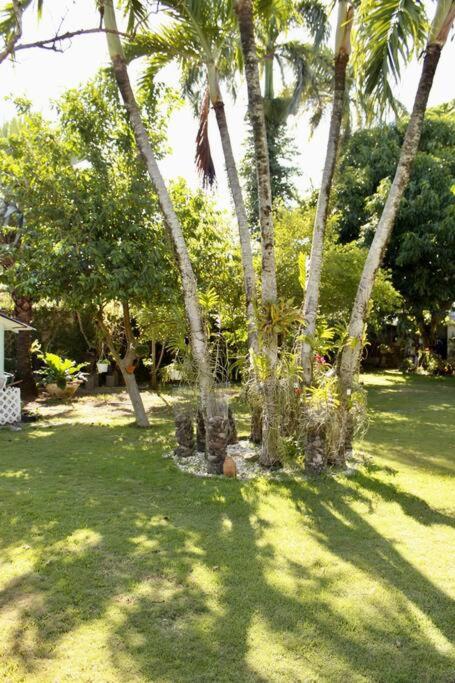 Relax House photo 3