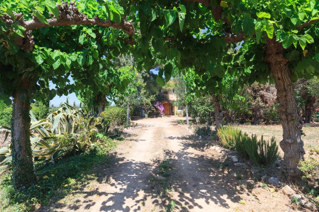 Mas Estivill-Modernist country house near Salou-Port Aventura photo 3