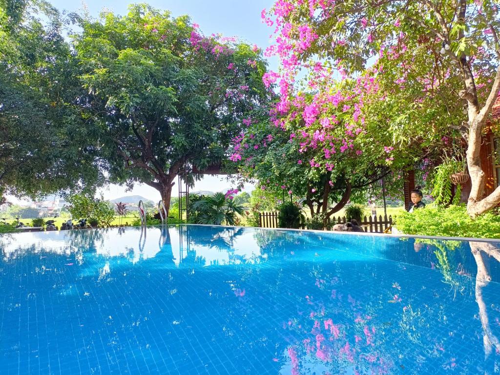 Tam Coc Sunshine Homestay