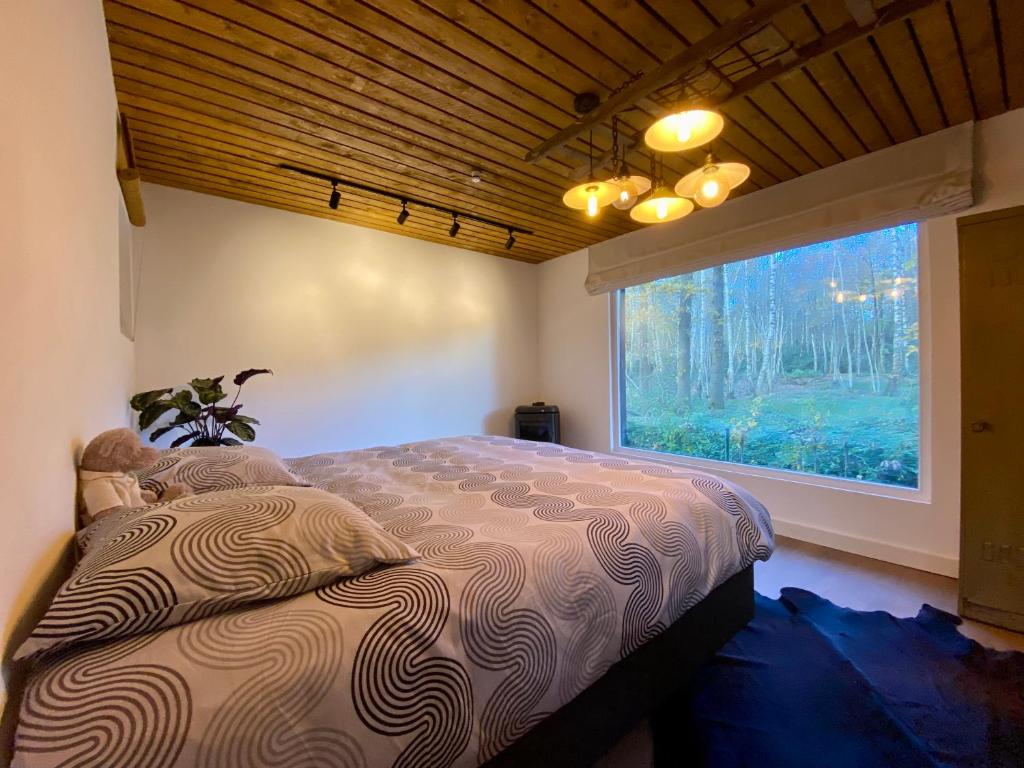 Kabana - eco forest suite photo 3