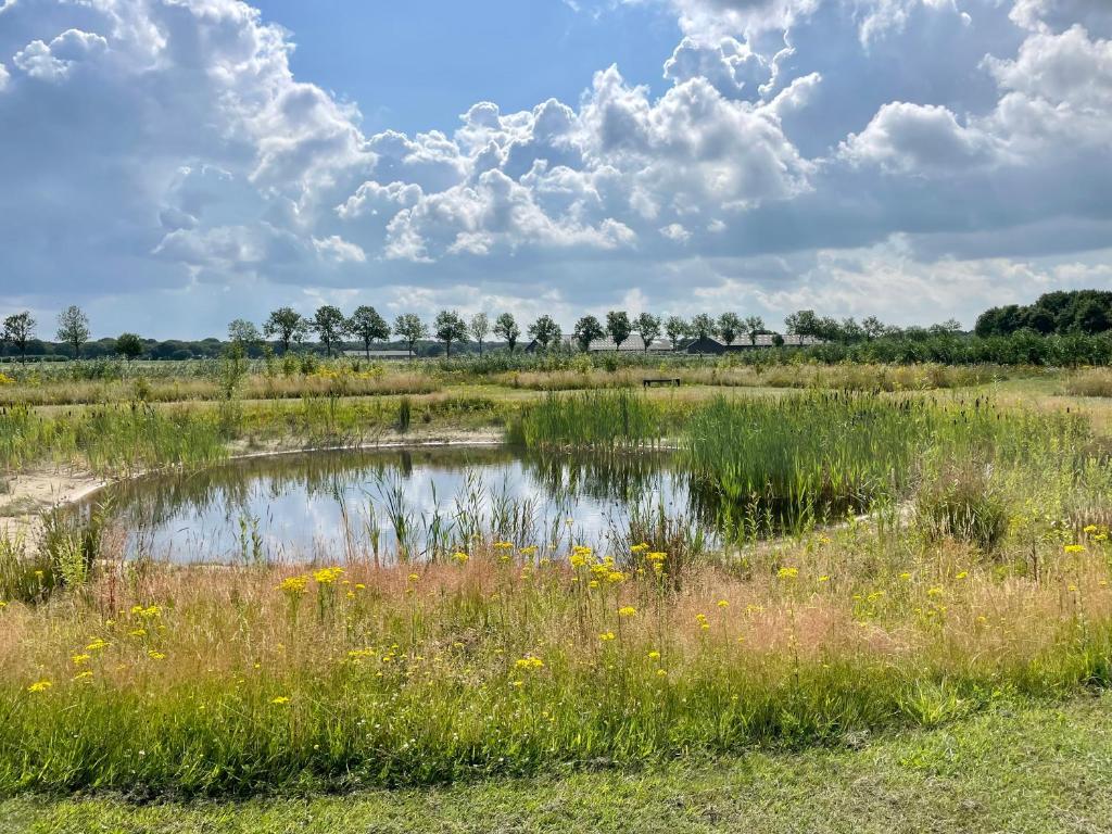 Camping De Heerlijkheid Vorenseinde photo 2