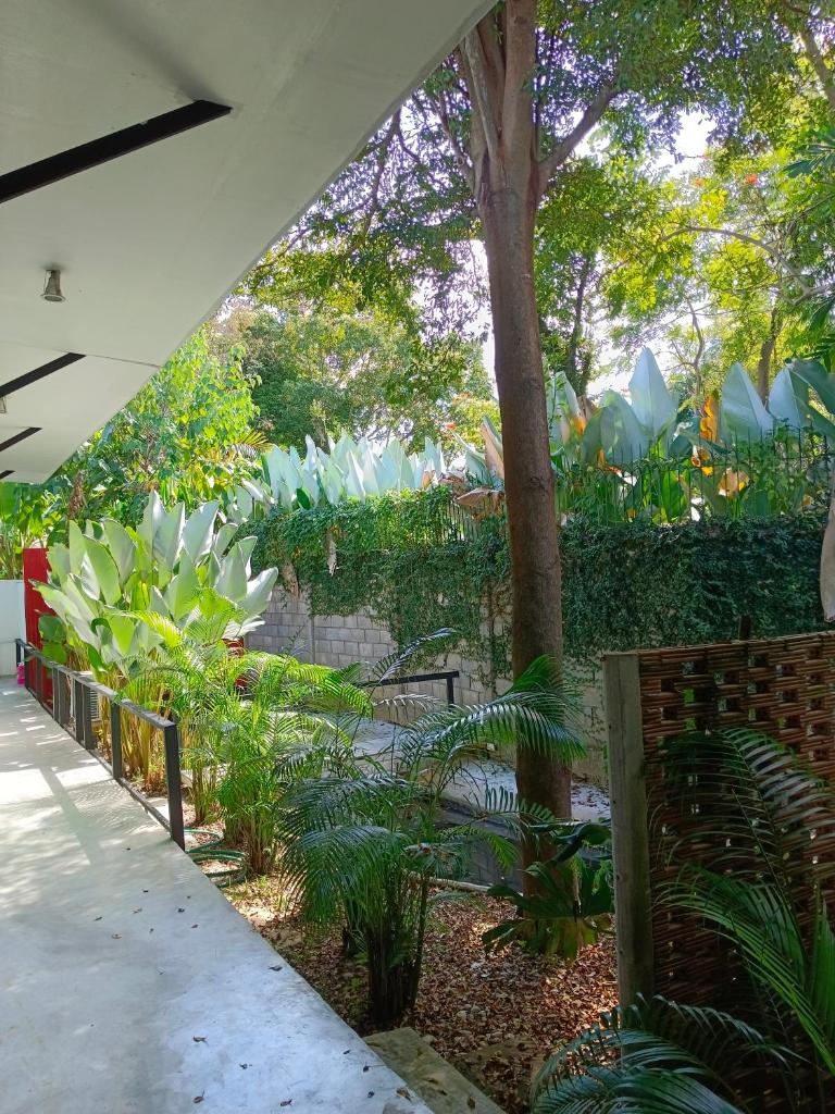 Apantree pool villa Tarn ing doi photo 3