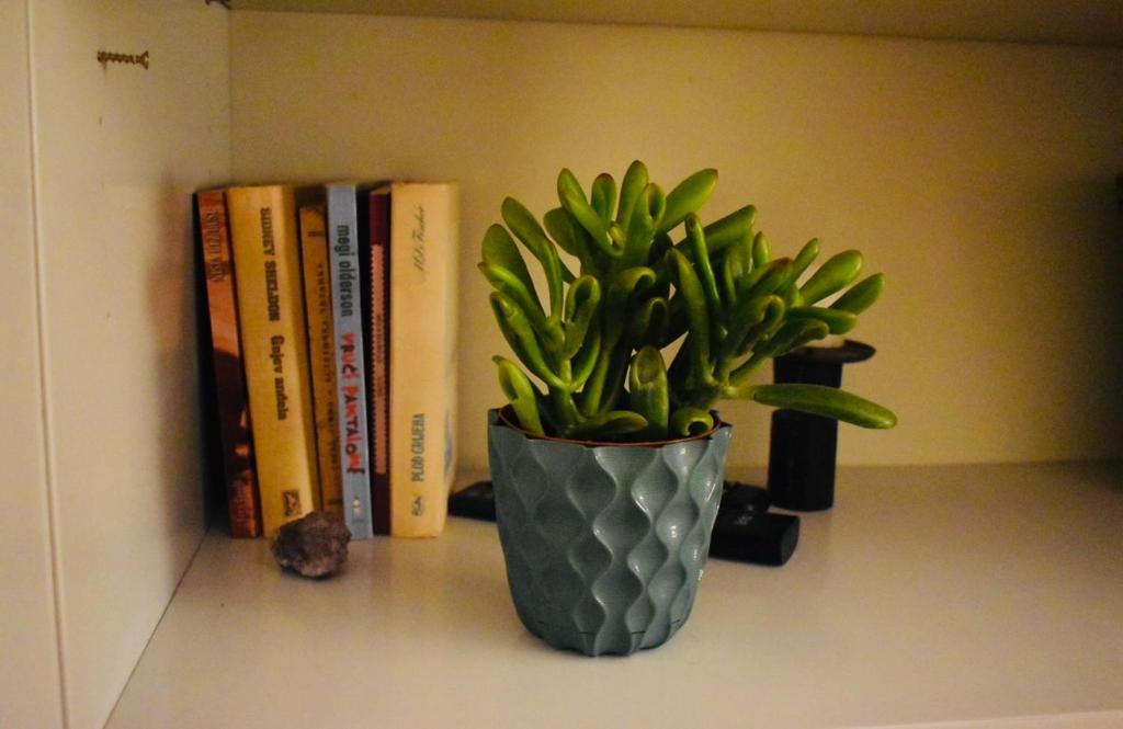 Apartman 23 photo 1