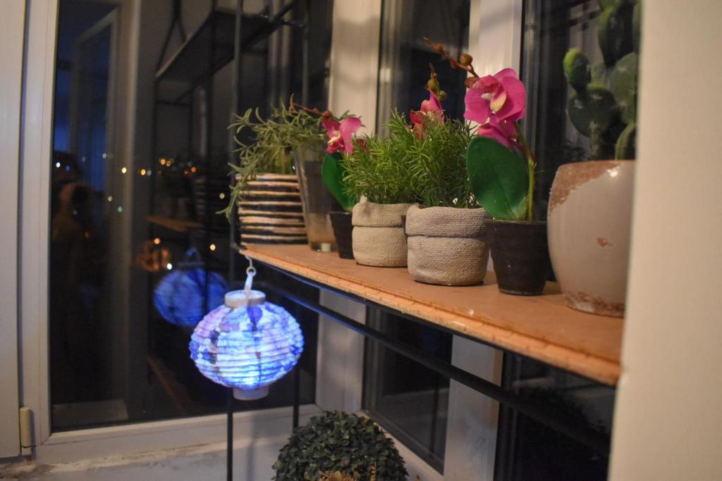 Apartman 23 photo 3