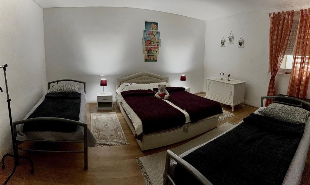 BOJANA12 photo 1